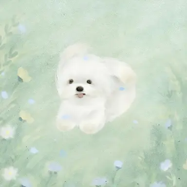 Profile image of 솜이