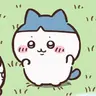 Profile image of 자유