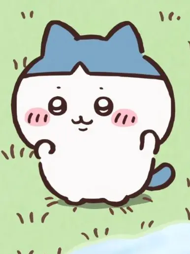 IlIllII의 자유