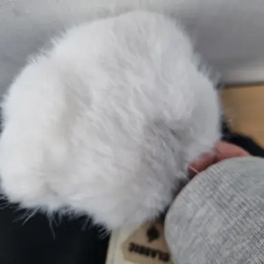 Profile image of 이배일