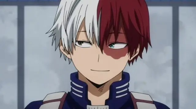Profile image of Todoroki
