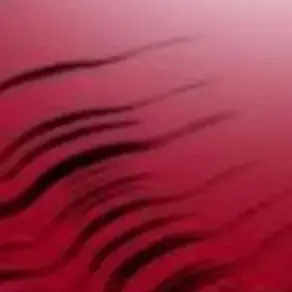 Profile image of 라더