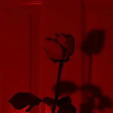 Profile image of 서 라더