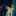 다비 & 호크스