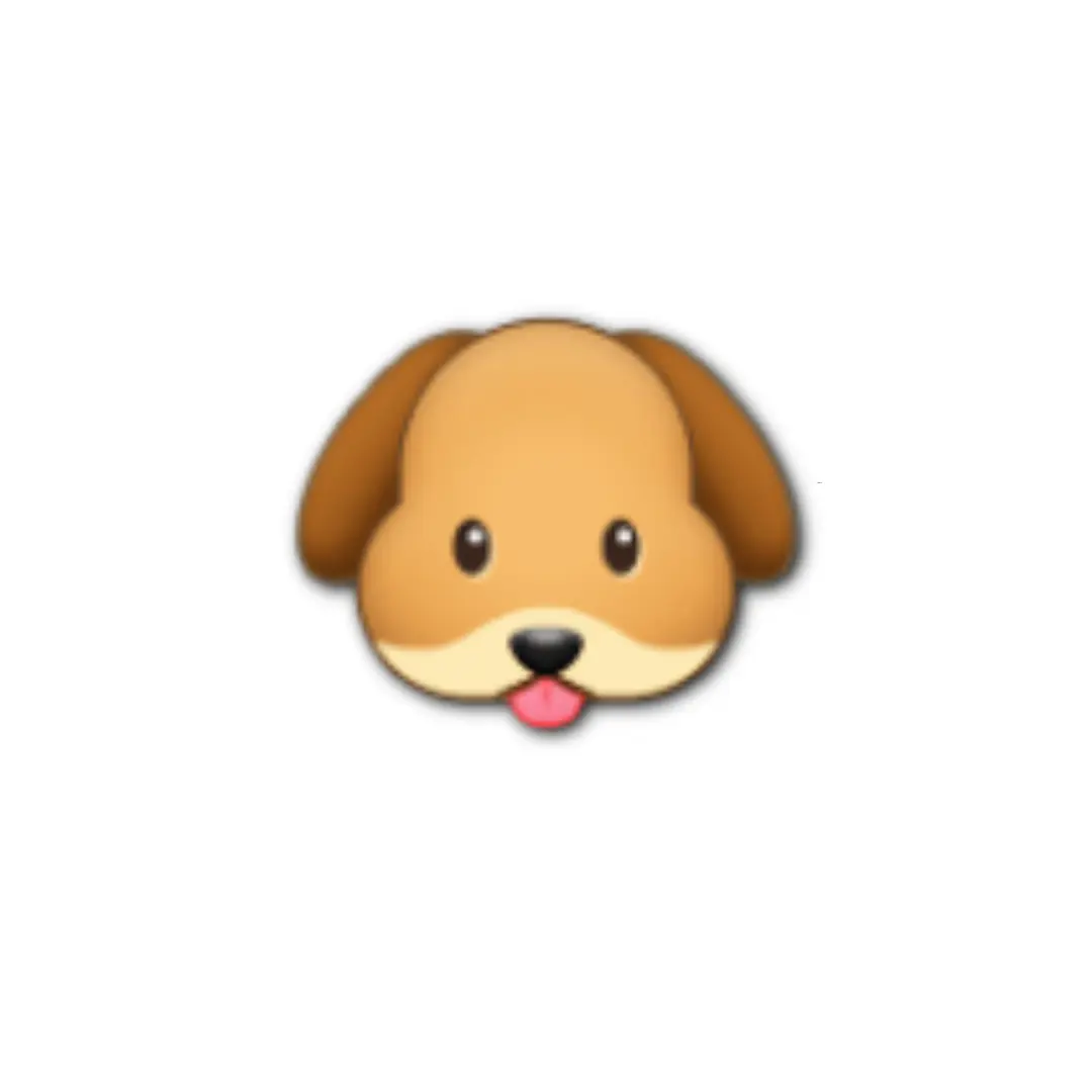RashJade6163의 김규빈🐶