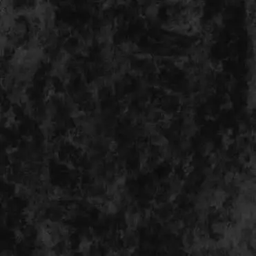 Profile image of 目黒蓮