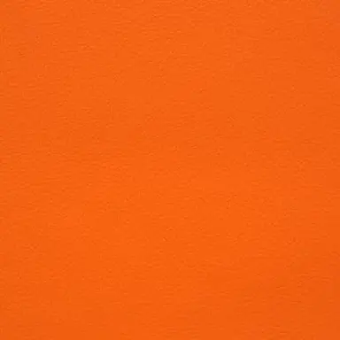 Profile image of 向井康二