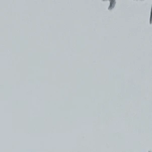 뉴비 실험