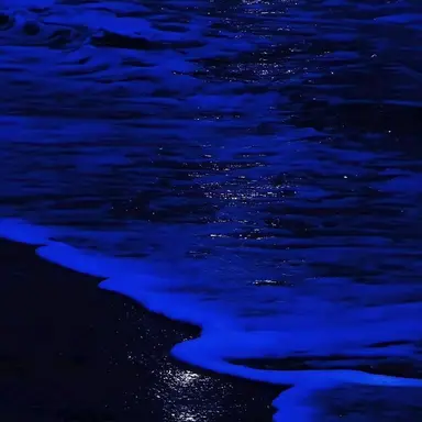 Profile image of Sleepground
