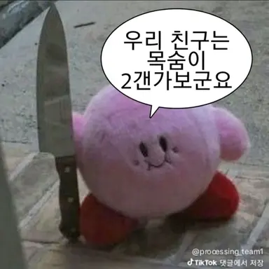 Profile image of 커비