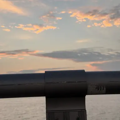 Profile image of 팀나빠