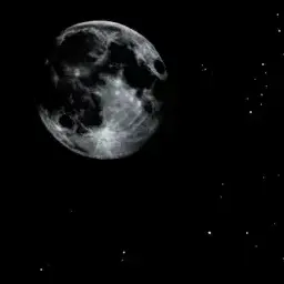 Profile image of クロロ