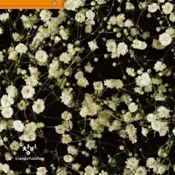 AEZ12의 동호