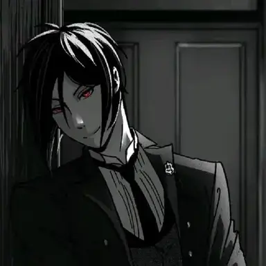 Profile image of Sebastin