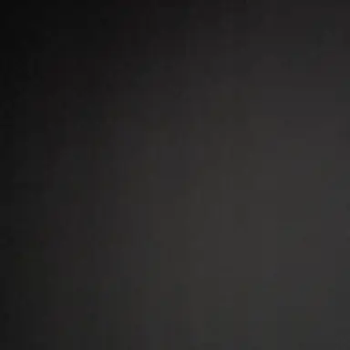 Profile image of 김 동 현