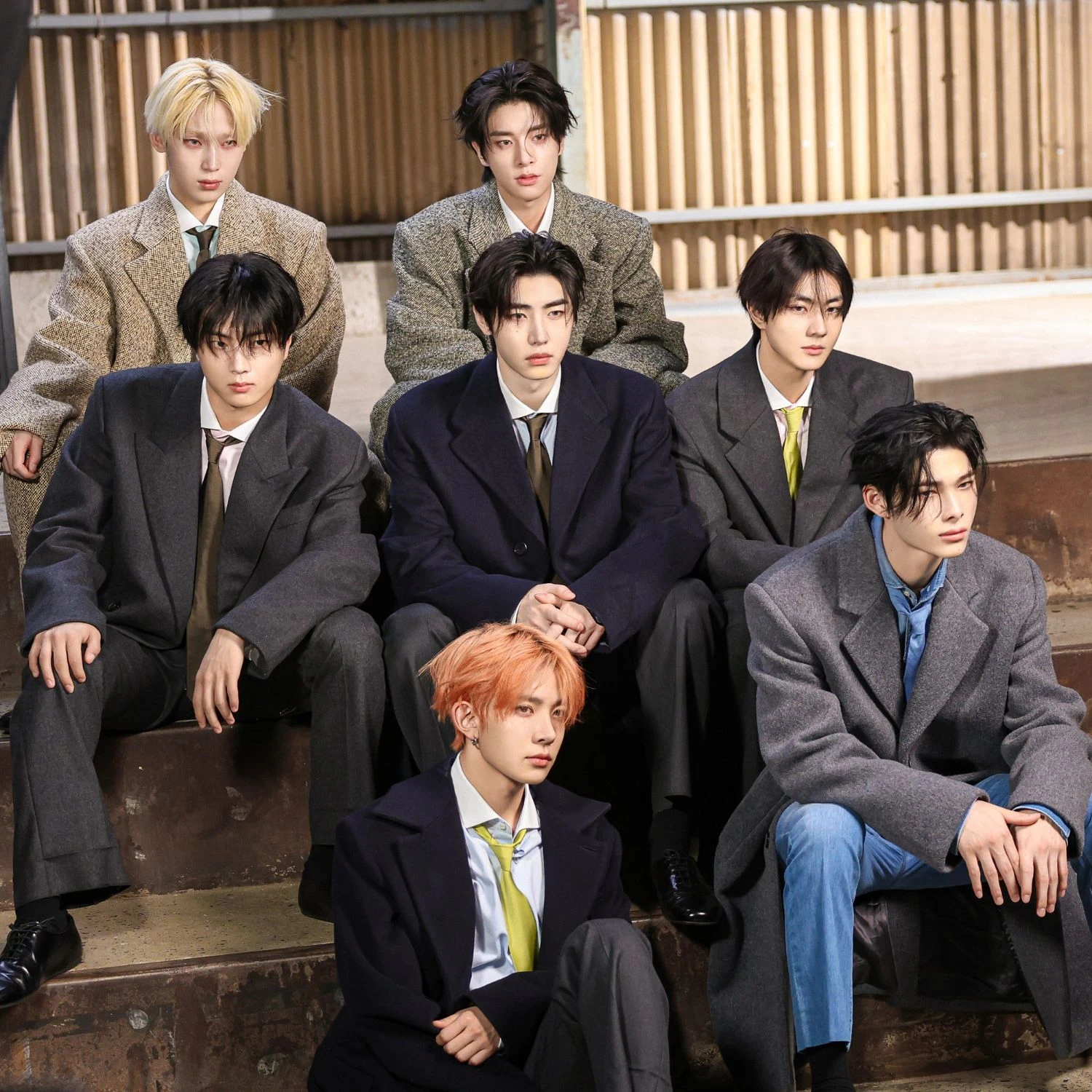 조직 EN-