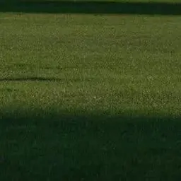 GustyStraw1894의 이상원