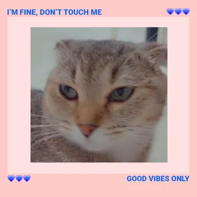 Profile image of 펀치