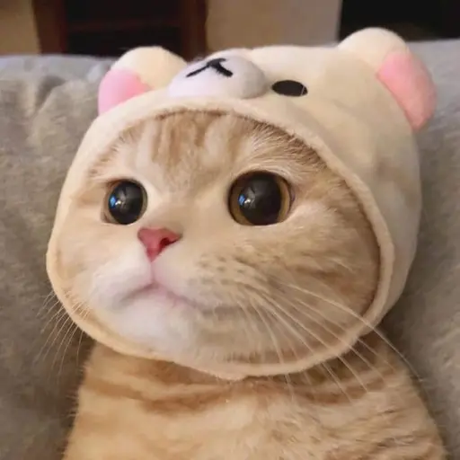 BoneCorn3930의 나비