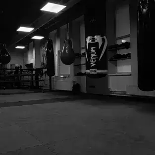 LeafyPeas4611의 Donovan