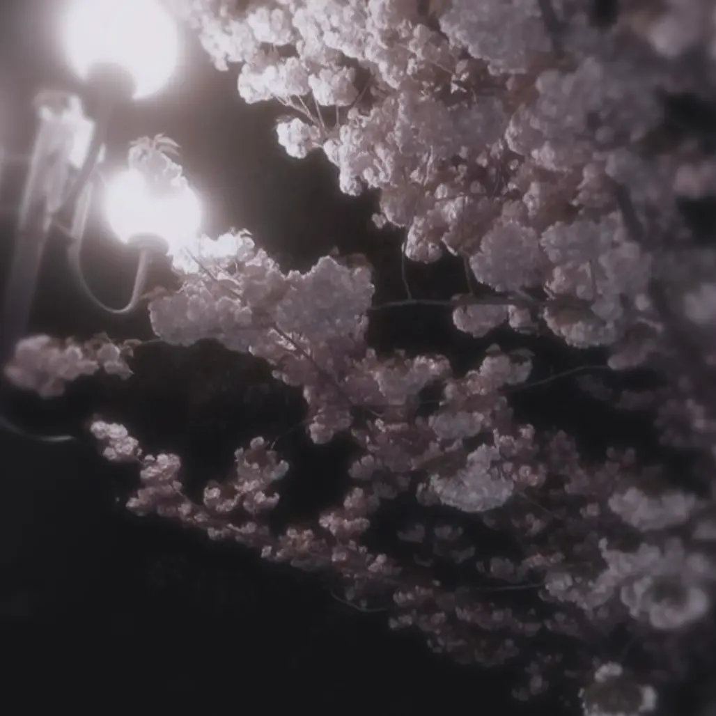 ..llyos의 #♡