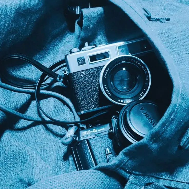 Para.dise의 파이브