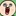 빵빵이