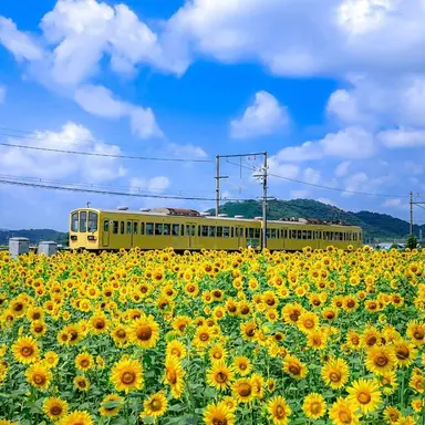 Profile image of 김각별