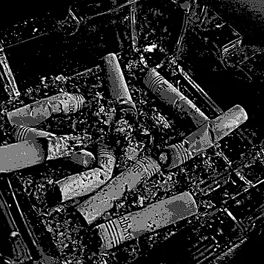 Profile image of 강이헌