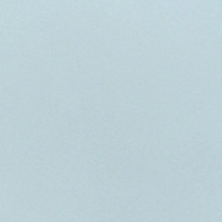 Sunsnow의 십이월의 꽃