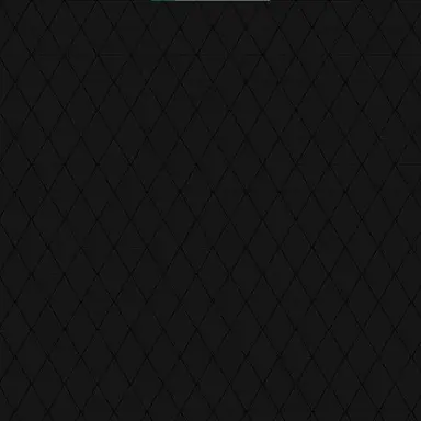 Profile image of 장지아하오