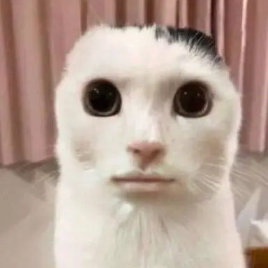 Profile image of Boss