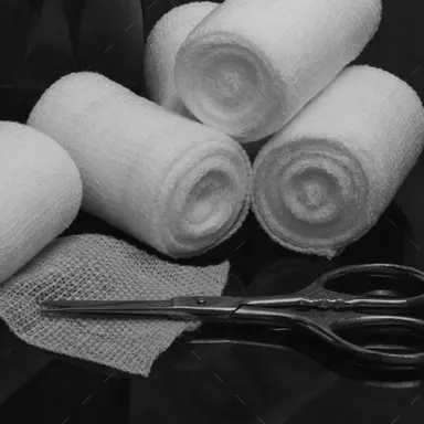 Profile image of 잭 와일드