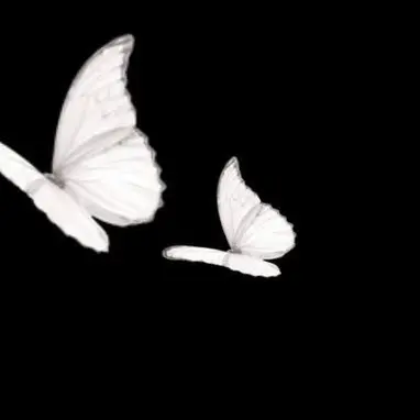 bird0의 유성