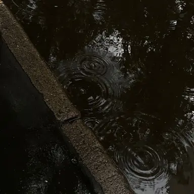 Profile image of 최승현