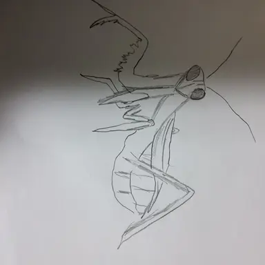 Profile image of 왕사마귀