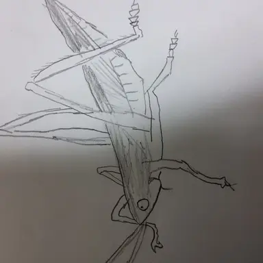 Profile image of 여치