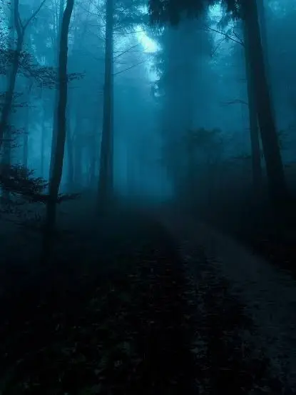 fuwafuwa_ofuton의 いびつなかたち