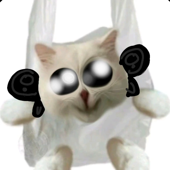 트라이