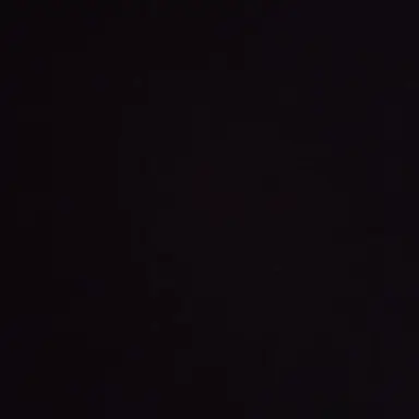 Profile image of 최예나