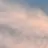 대표