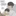 정이연