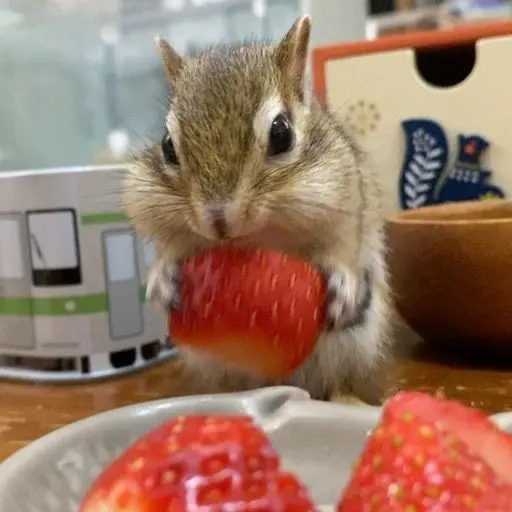 BleakPiano2283의 김홍중