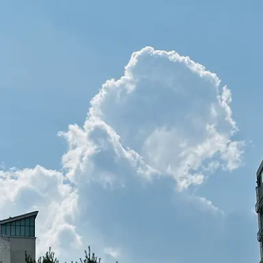 Profile image of 지훈