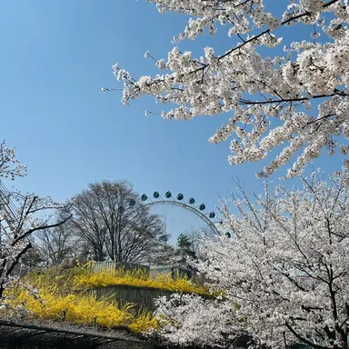 Profile image of 경민
