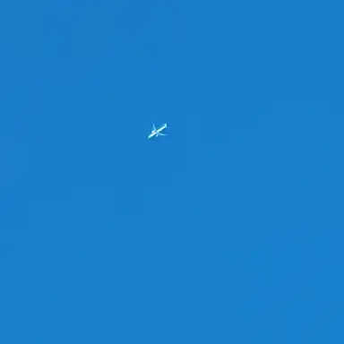 Profile image of ㅁㅈㅎ