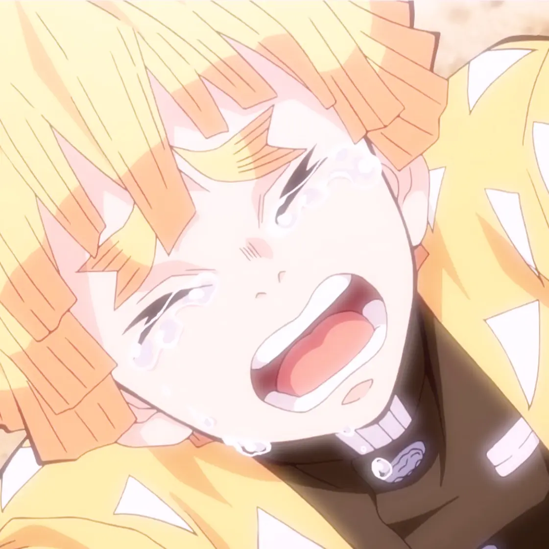 SuppleSpear4128의 ♡ちびぜん♡