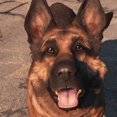 Profile image of Riley