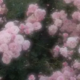 BL-verynice의 道枝駿佑