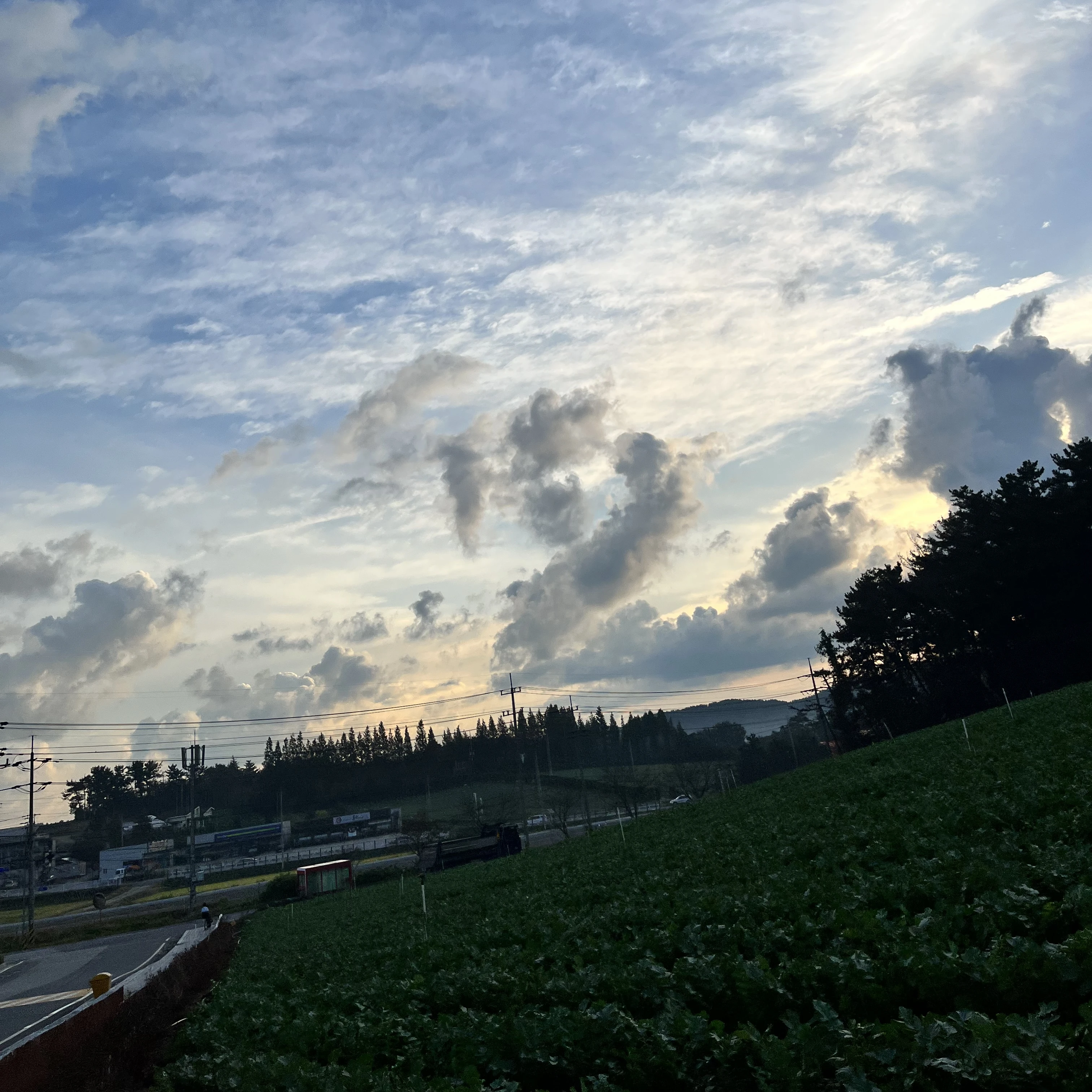 해설
